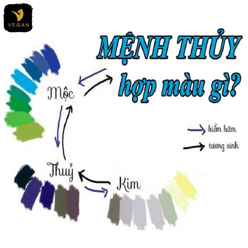 menh thuy hop mau gi