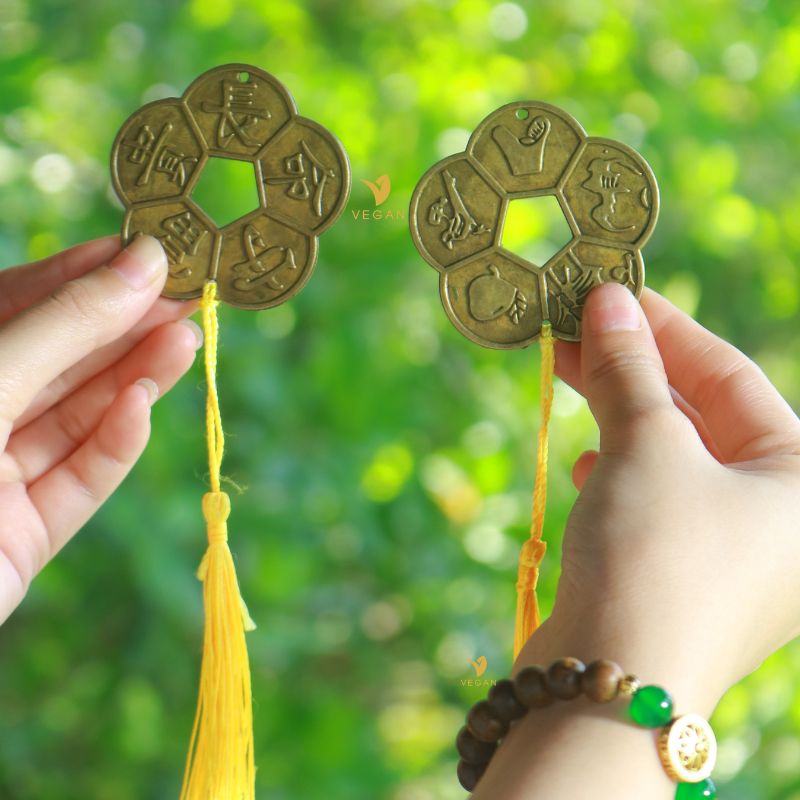 dong xu hoa mai kim tien