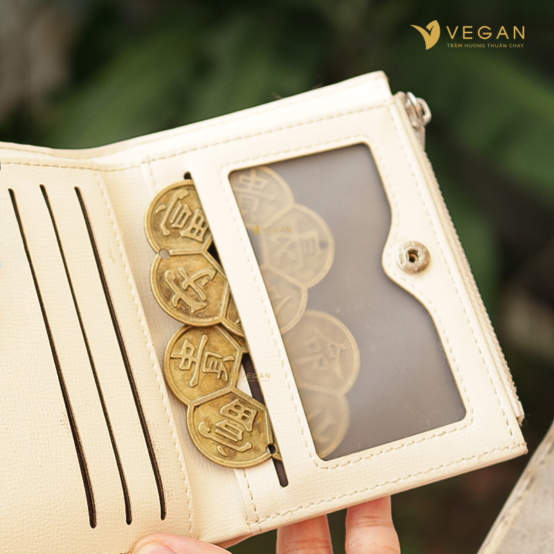 đồng xu hoa mai bỏ ví dong xu hoa mai bo vi