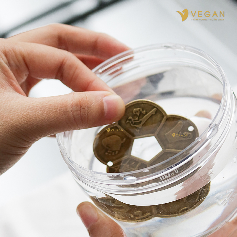 tay ue dong xu hoa mai