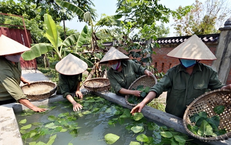 ngam la bo de