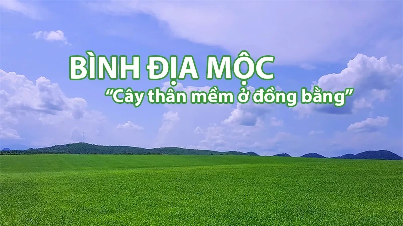 menh moc hop mau gi