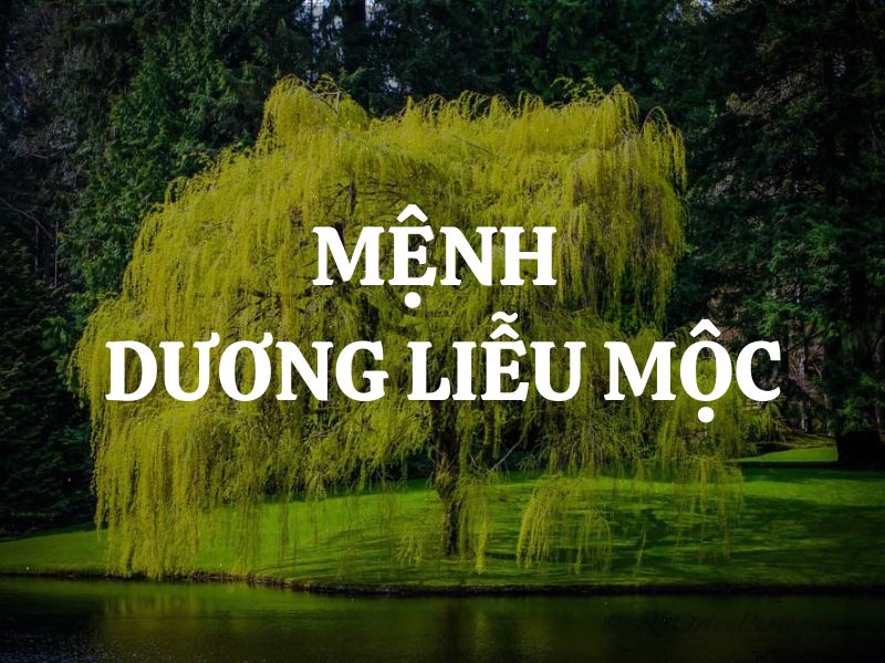 menh duong lieu moc