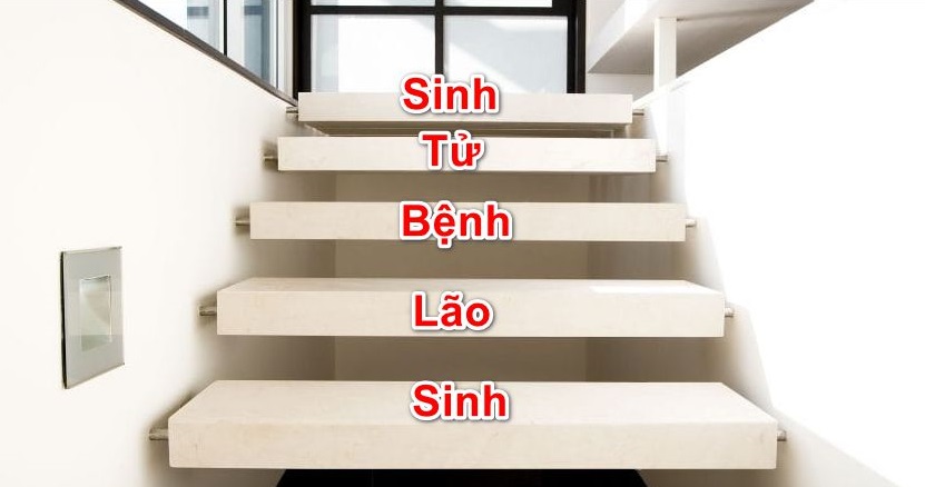 sinh lao benh tu