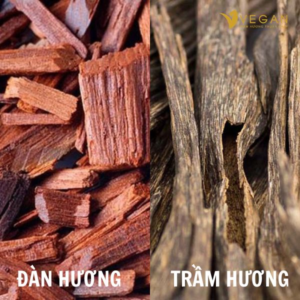 tram huong va dan huong khac nhau nhu the nao