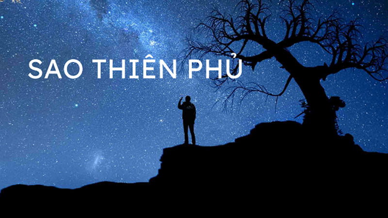 sao thien phu la gi