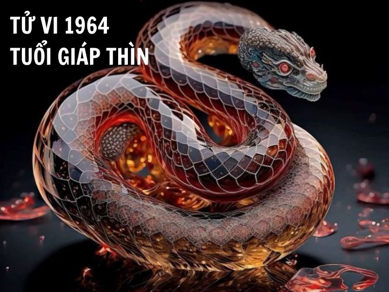 Tử vi 1964 tuổi Giáp Thìn nữ mạng: Vận mệnh, tình duyên, sự nghiệp