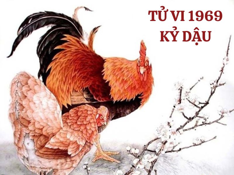 Tử vi 1969 tuổi Kỷ Dậu nữ mạng: Vận mệnh, tình duyên, sự nghiệp