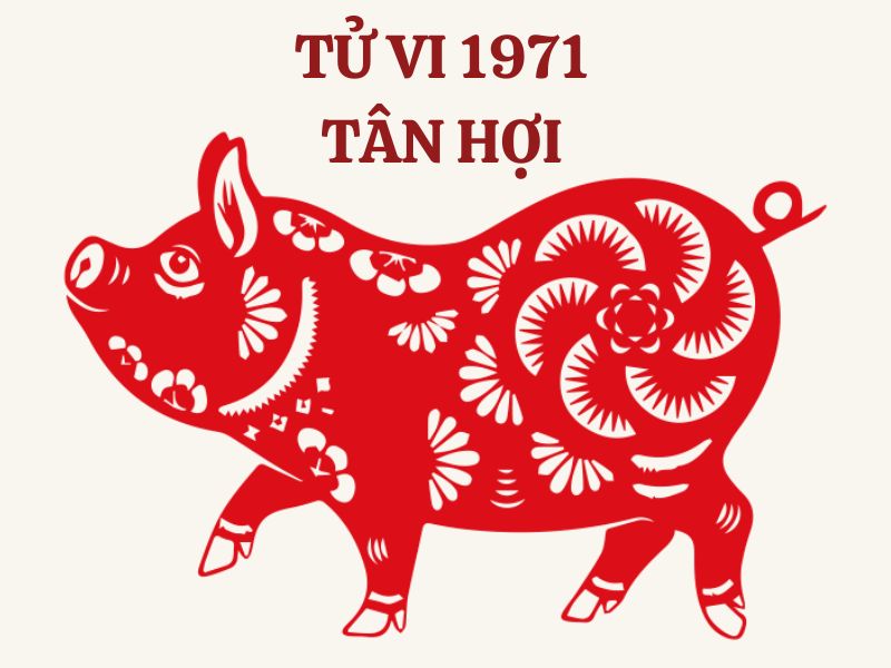 tu vi 1971