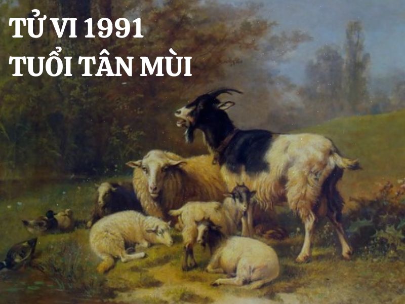 Tổng Hợp Thông Tin Về Mệnh Của Nam Sinh Năm 1991