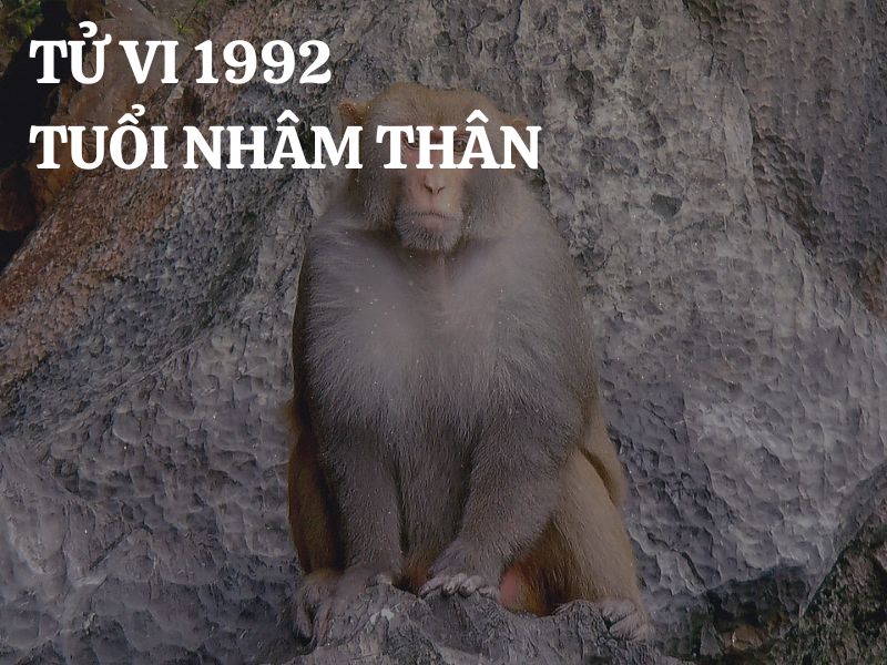 tu vi 1992 nam mang