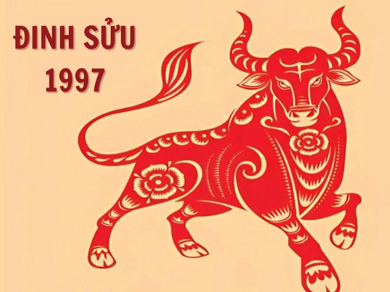 Vận Mệnh 1997: Tìm Hiểu Chi Tiết Về Cuộc Sống, Tình Duyên và Sự Nghiệp