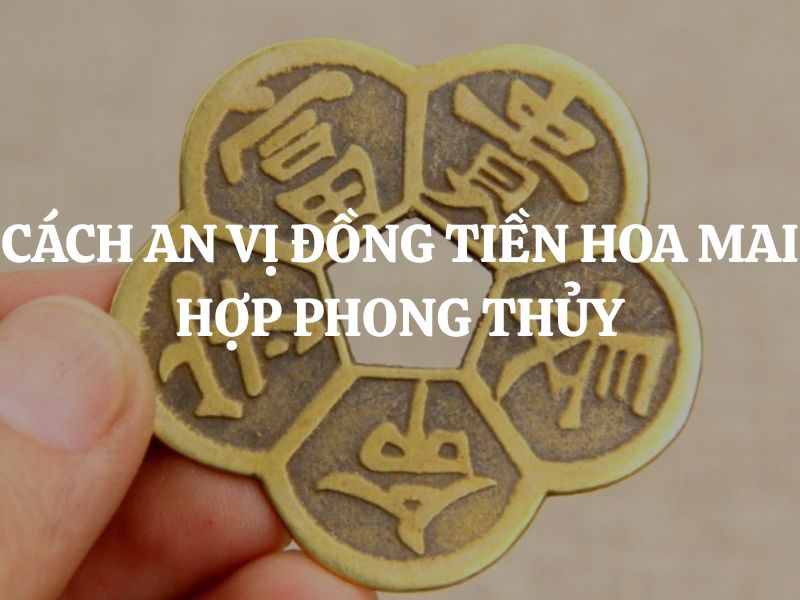 Cách an vị đồng tiền hoa mai hợp phong thủy để chiêu tài, hoá hung Cách an vị đồng tiền hoa mai hợp phong thủy để chiêu tài, hoá hung
