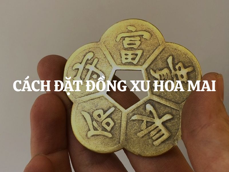 Cách đặt đồng xu hoa mai chuẩn phong thủy để chiêu tài, đón vượng khí