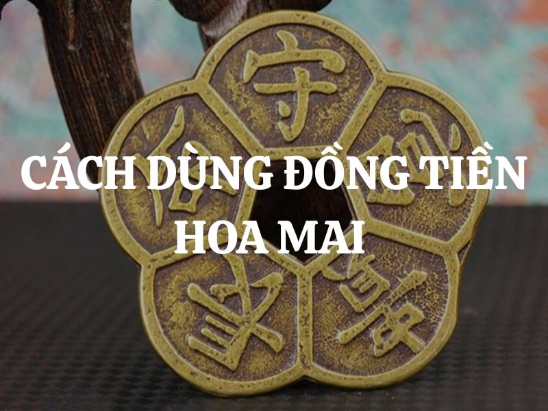 Cách dùng đồng tiền hoa mai chuẩn phong thủy để chiêu tài hóa hung