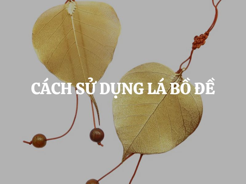 Cách sử dụng lá bồ đề trong đời sống và trong phong thủy