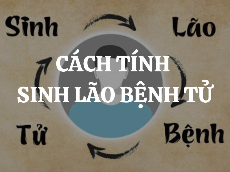 Cách tính sinh lão bệnh tử cụ thể như thế nào? Ý nghĩa và ứng dụng của cách tính này