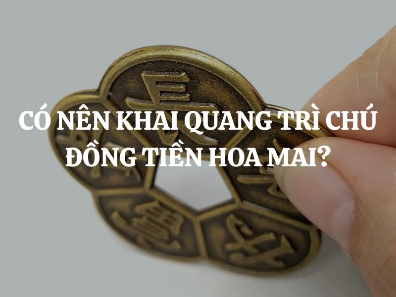 Có nên khai quang trì chú đồng tiền hoa mai để tăng vận may?