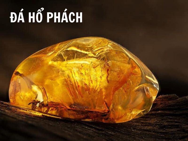 Đá hổ phách là gì? Đặc tính và nguồn gốc của đá hổ phách