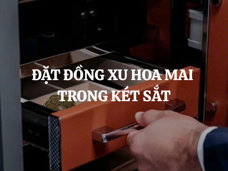 Đặt đồng xu hoa mai trong két sắt: Bí quyết chiêu tài lộc, kích hoạt may mắn