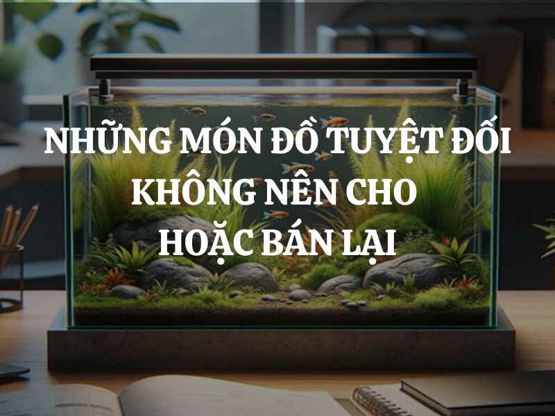 Dọn dẹp cuối năm: Những món đồ tuyệt đối không nên cho hoặc bán lại