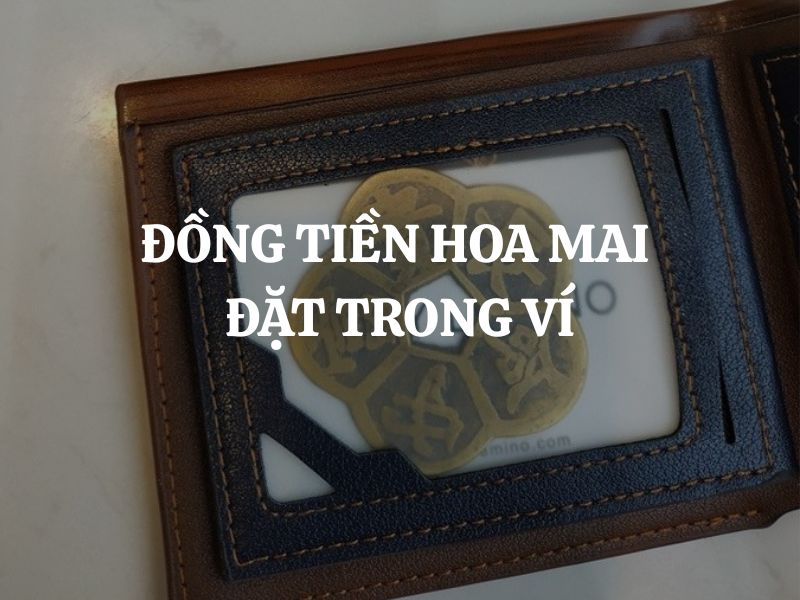 Đồng tiền hoa mai đặt trong ví có lợi ích gì? Cách an vị đồng tiền hoa mai trong ví Đồng tiền hoa mai đặt trong ví có lợi ích gì? Cách an vị đồng tiền hoa mai trong ví