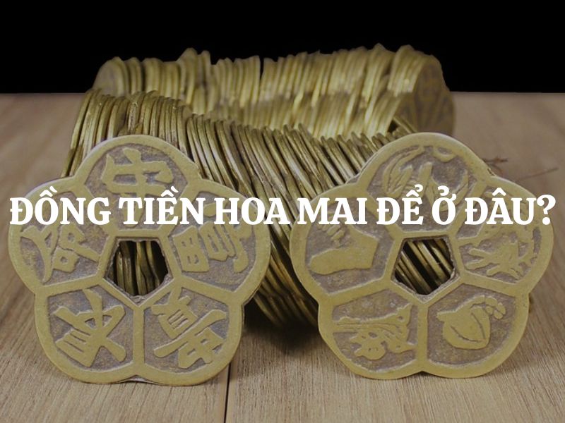 Đồng tiền hoa mai để ở đâu hợp phong thuỷ? Hướng dẫn chi tiết Đồng tiền hoa mai để ở đâu hợp phong thuỷ? Hướng dẫn chi tiết