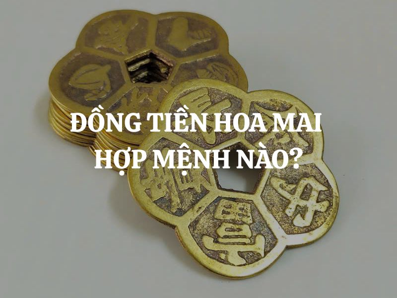 Đồng tiền hoa mai hợp mệnh nào? Giải mã tính tương hợp trong phong thủy Đồng tiền hoa mai hợp mệnh nào? Giải mã tính tương hợp trong phong thủy