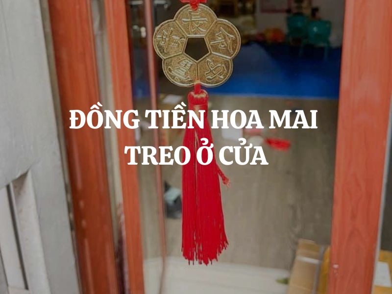 Đồng tiền hoa mai treo ở cửa có lợi ích gì? Tại sao nên treo ở cửa? Đồng tiền hoa mai treo ở cửa có lợi ích gì? Tại sao nên treo ở cửa?