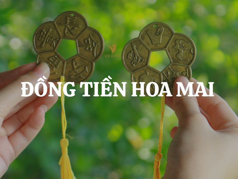 Đồng tiền hoa mai - Vật phẩm chiêu tài, hóa hung trong phong thủy