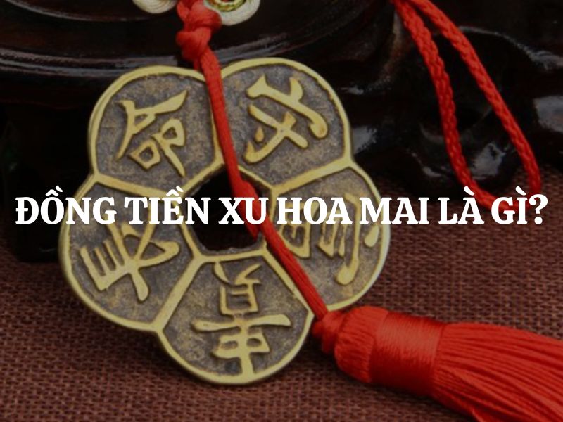 Đồng tiền xu hoa mai là gì? Bí ẩn phong thủy sau pháp khí chiêu tài may mắn