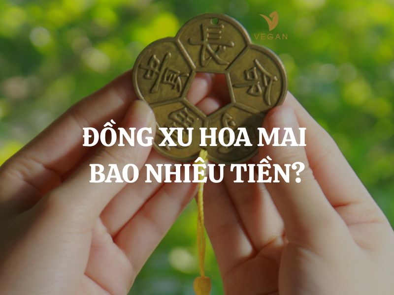 Đồng xu hoa mai bao nhiêu tiền? Mua ở đâu chuẩn phong thuỷ, giá tốt?