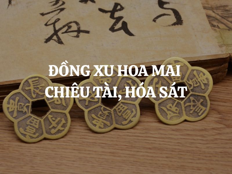 Đồng xu hoa mai chiêu tài hóa sát - Vật phẩm phong thuỷ mang đến tài lộc, an lành Đồng xu hoa mai chiêu tài hóa sát - Vật phẩm phong thuỷ mang đến tài lộc, an lành
