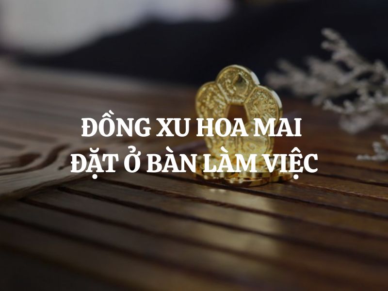 Đồng xu hoa mai đặt ở bàn làm việc có lợi ích gì? Hướng dẫn cách đặt đúng