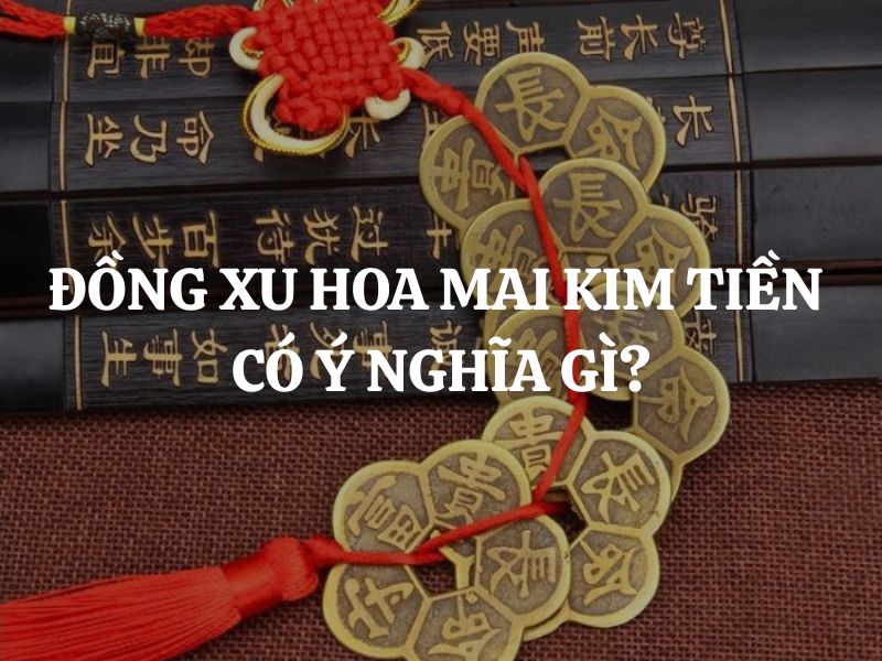 Đồng xu hoa mai kim tiền có ý nghĩa gì? Giải mã pháp khí phúc lộc thọ toàn diện Đồng xu hoa mai kim tiền có ý nghĩa gì? Giải mã pháp khí phúc lộc thọ toàn diện
