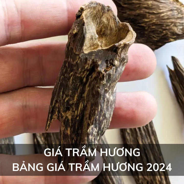 Giá trầm hương, cập nhật bảng giá trầm hương 2025