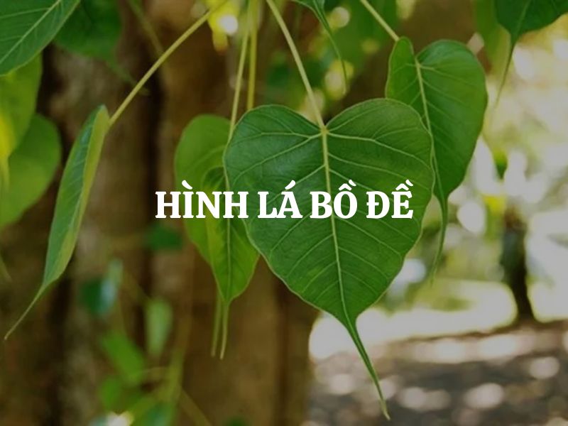 Hình lá bồ đề - Ý nghĩa tâm linh, phong thủy và cách bảo quản