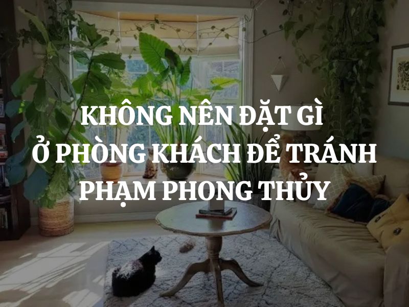 Không nên đặt gì ở phòng khách để tránh phạm phong thủy?