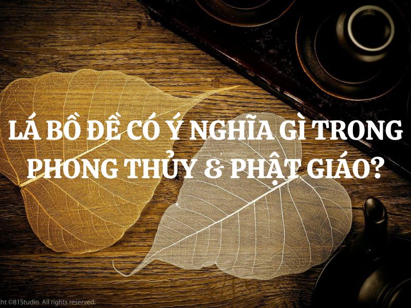 Lá bồ đề có ý nghĩa gì trong phong thủy và Phật giáo? Nên mua ở đâu?