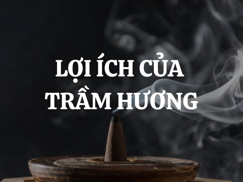 Lợi ích của trầm hương trong cuộc sống hằng ngày