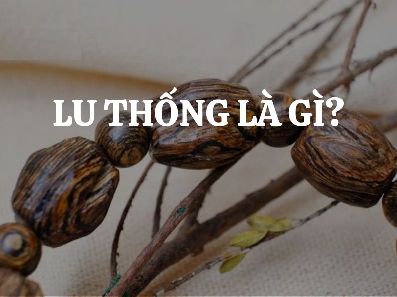 Lu Thống là gì, có nguồn gốc ra sao? Cách phân loại Lu Thống