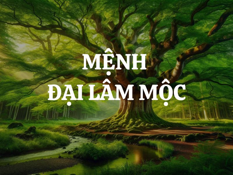 Mệnh Đại Lâm Mộc là gì? Sinh năm nào? Kỵ màu nào, hợp màu nào?