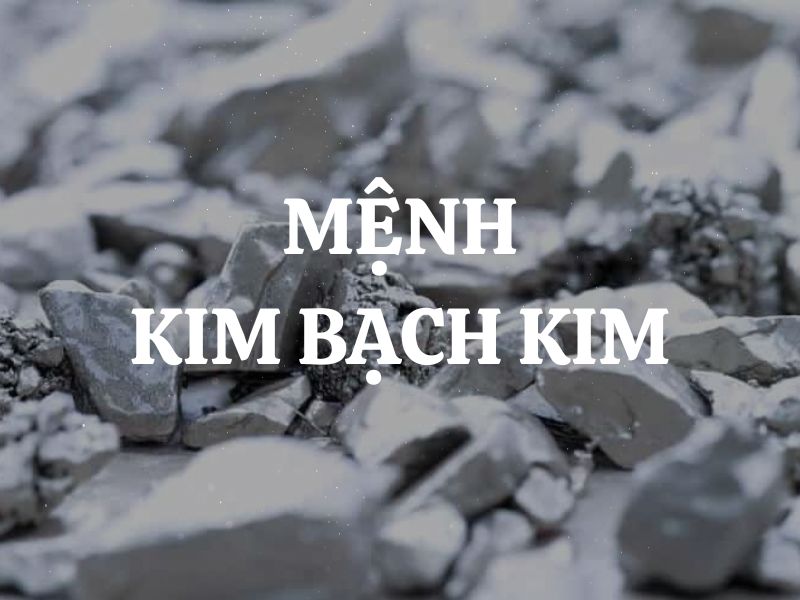 Mệnh Kim Bạch Kim là gì? Sinh năm nào? Kỵ màu nào, hợp màu nào?