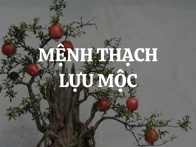 Mệnh Thạch Lựu Mộc là gì? Sinh năm nào? Kỵ màu nào, hợp màu nào?