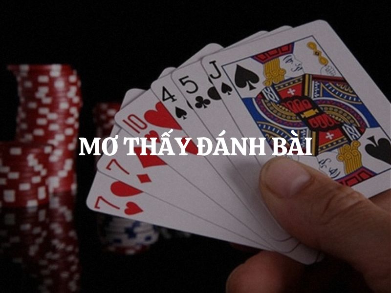 Mơ thấy đánh bài là điềm gì? Giải mã chi tiết từng trường hợp
