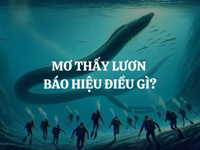 Mơ thấy lươn báo hiệu điều gì? Tốt hay xấu?