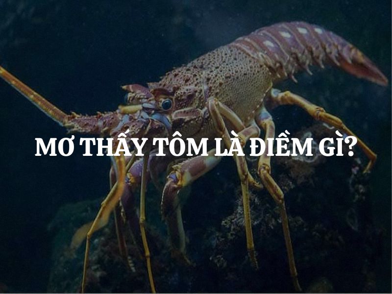 Mơ thấy tôm là điềm gì? Giải mã chi tiết từng trường hợp