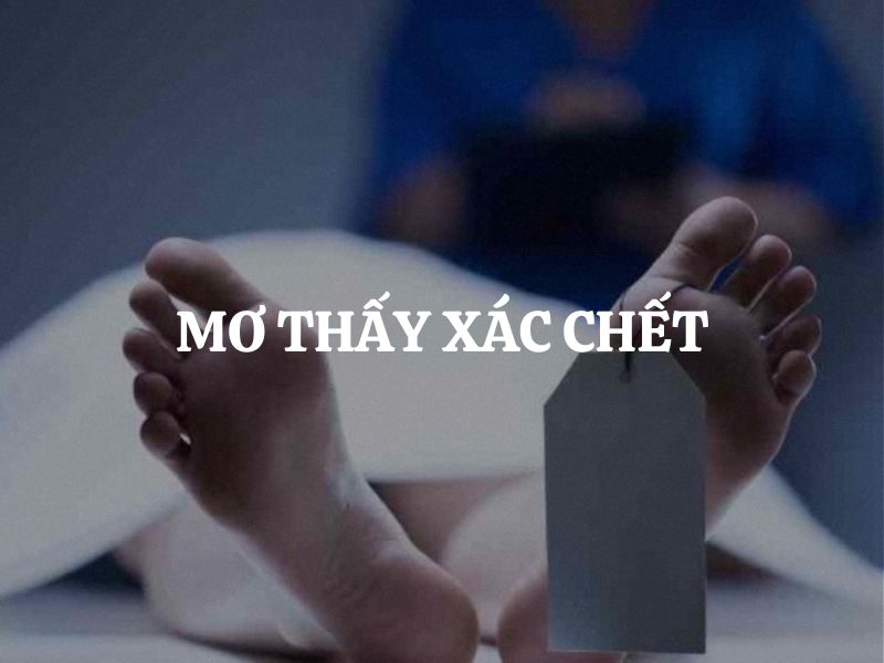 Mơ thấy xác chết là điềm gì? Giải mã giấc mơ theo góc nhìn tâm linh & phong thủy