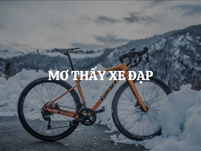 Mơ thấy xe đạp là điềm báo gì cho cuộc sống của bạn?