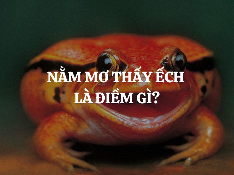 Nằm mơ thấy ếch là điềm gì? Hung hay cát?